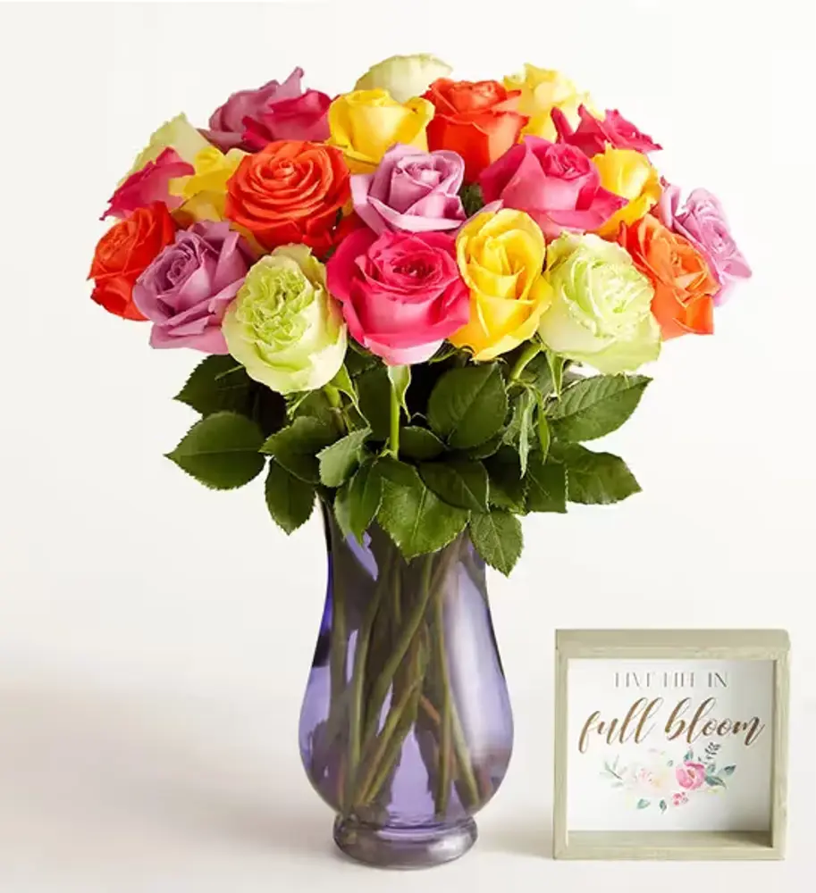 Two Dozen Mixed Roses Bouquet
