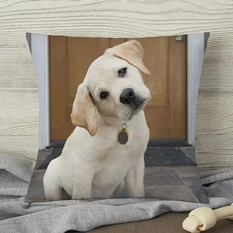 Personalized Pet Photo Pillow