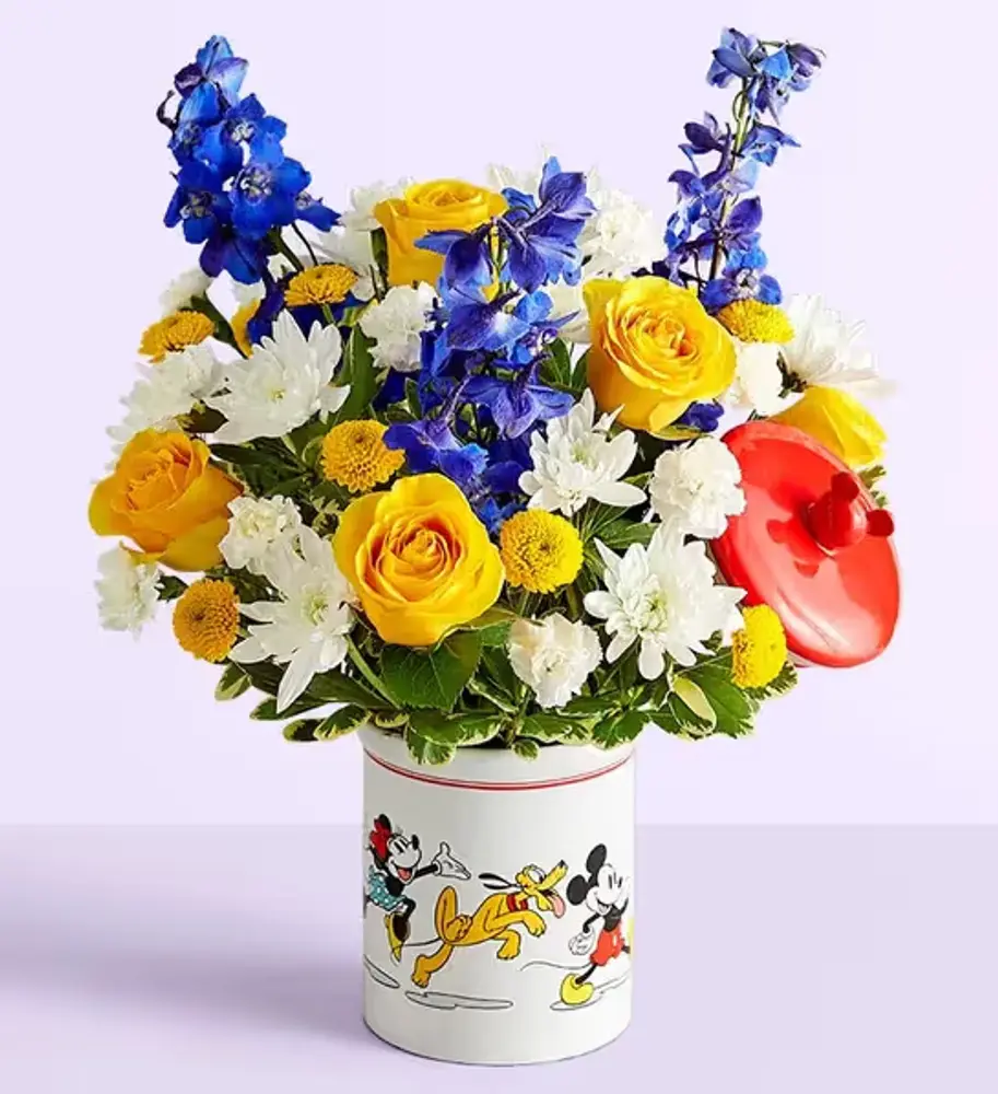 Mickey & Friends Cookie Jar Flowers, Baby Boy