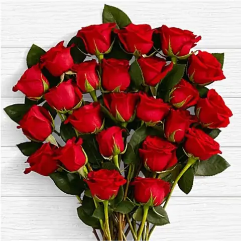 Two Dozen Long Stem Red Roses