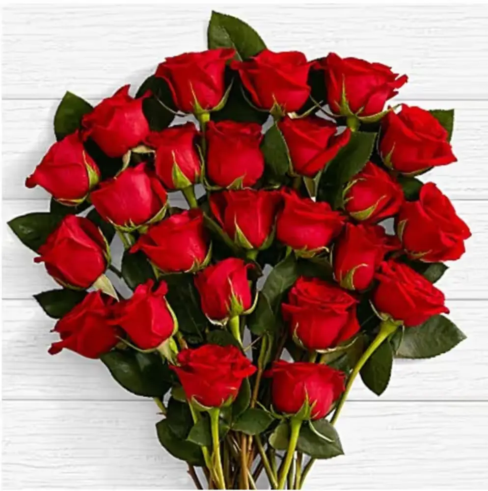 Two Dozen Long Stem Red Roses