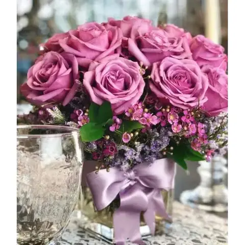 Purple Morning Melody Roses