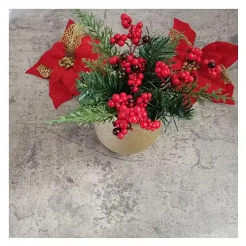 Potted Pinecone Plant