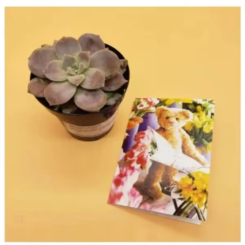 Elegant Succulent with Card
