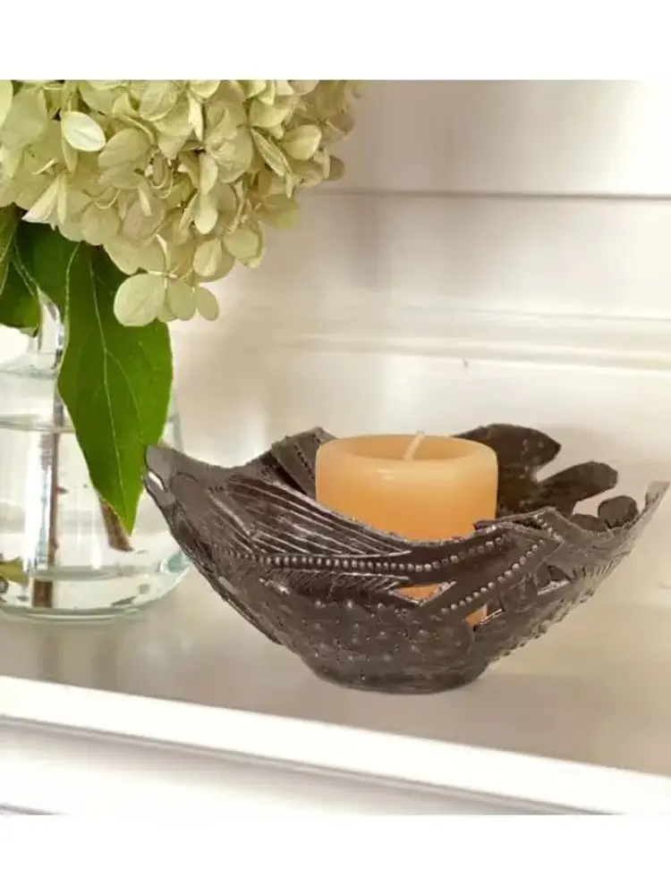 Aloe You Vera Much Air Plant Gift Box