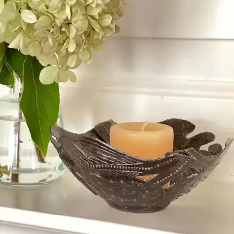 Aloe You Vera Much Air Plant Gift Box