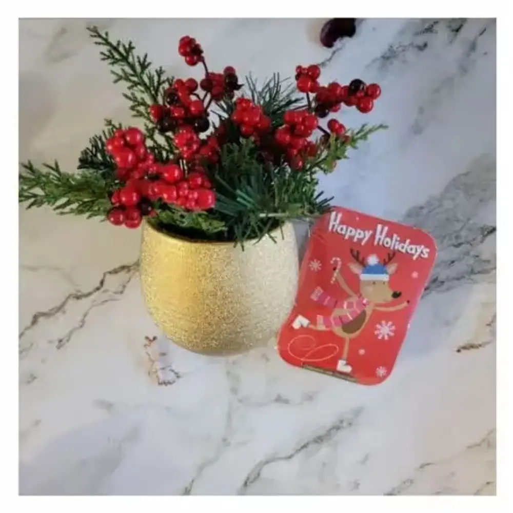 Christmas Pine Plant & Truffles