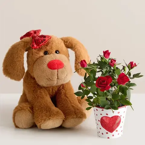 Puppy Plush & Mini Rose Plant