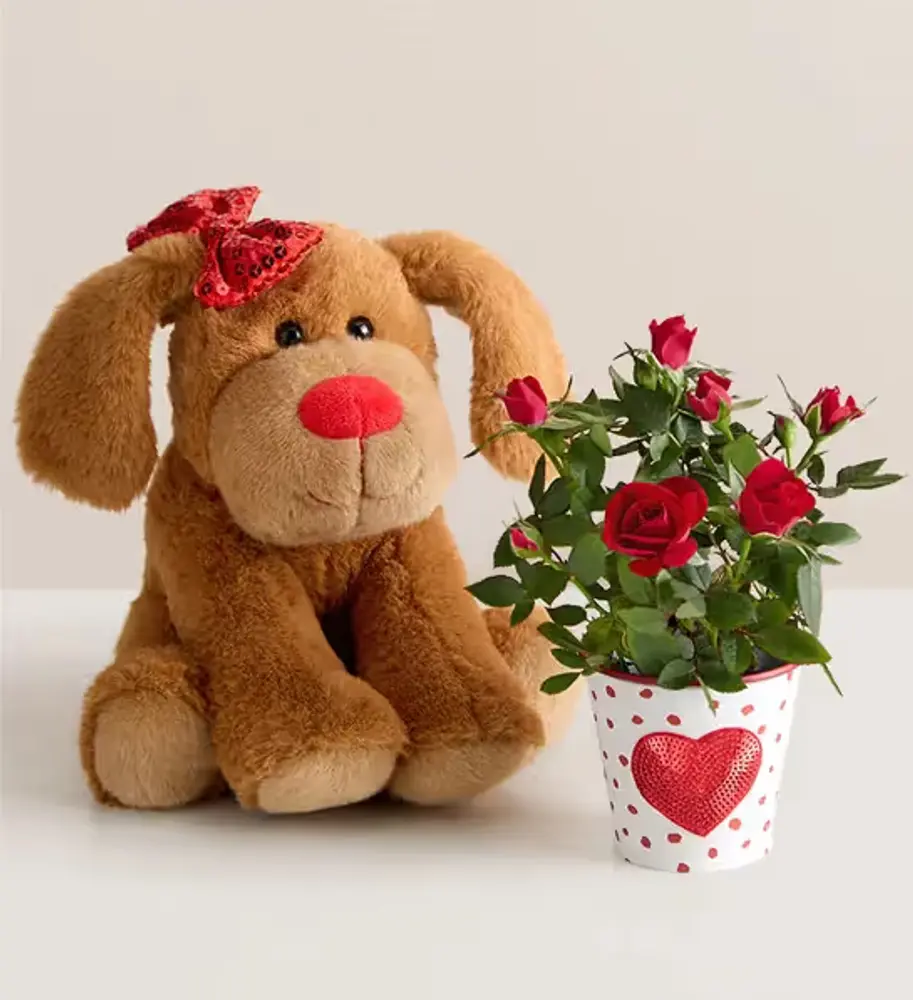 Puppy Plush & Mini Rose Plant