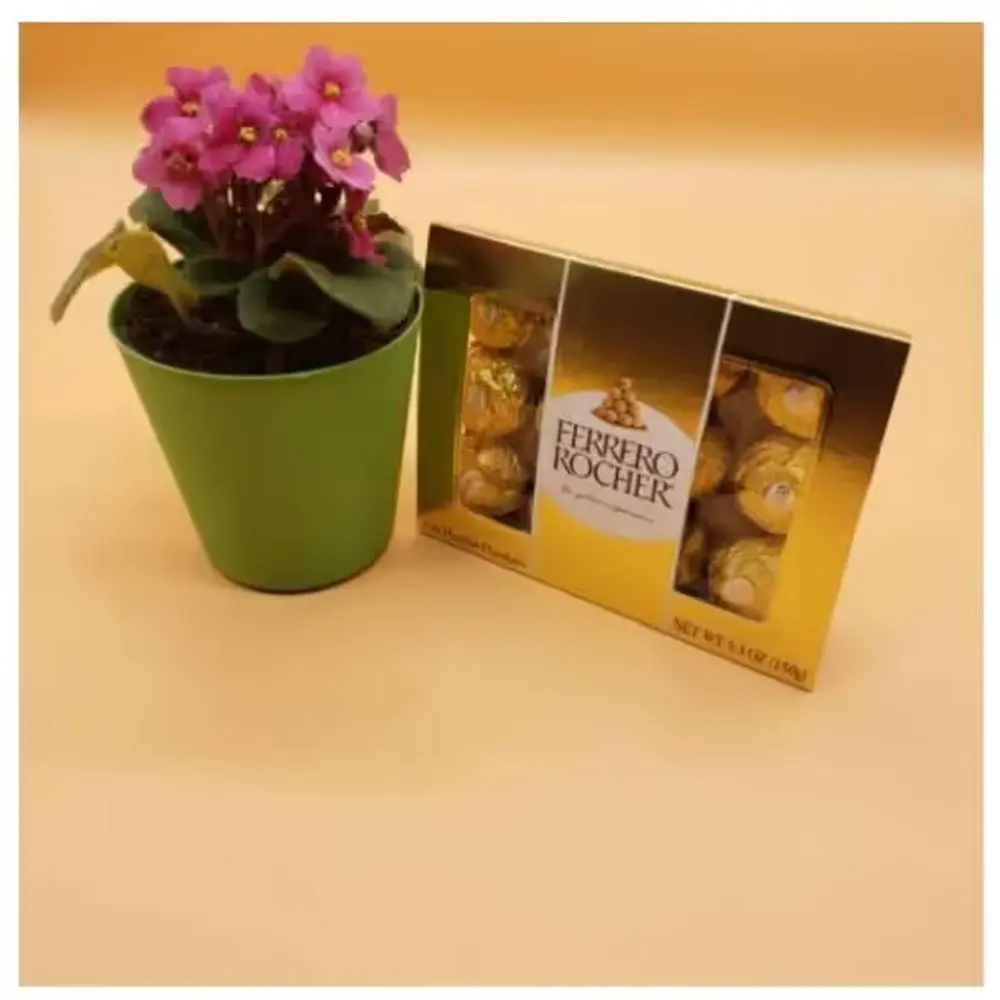 African Violet & Succulent Plant Gift