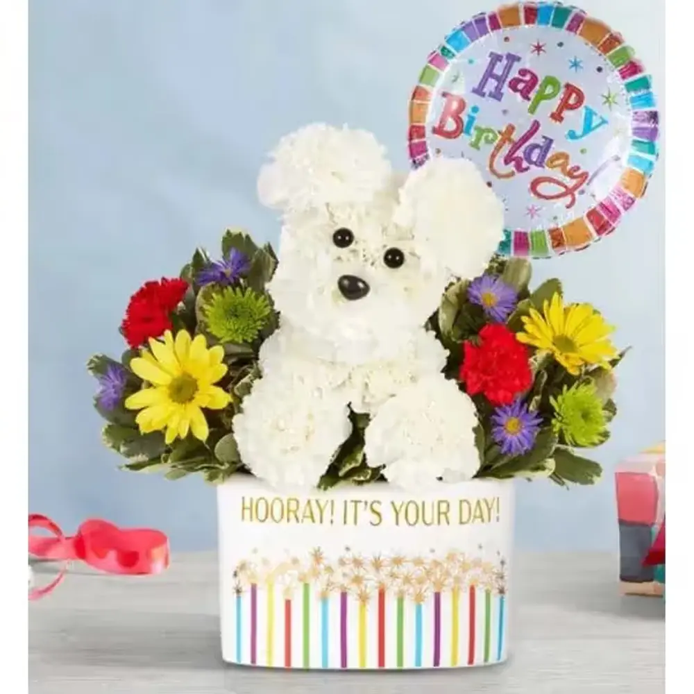 Party Pooch Flower Arrangement