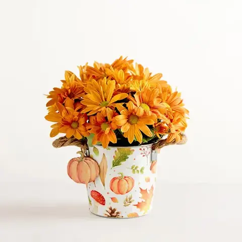 Pumpkin Mum in Metal Pail