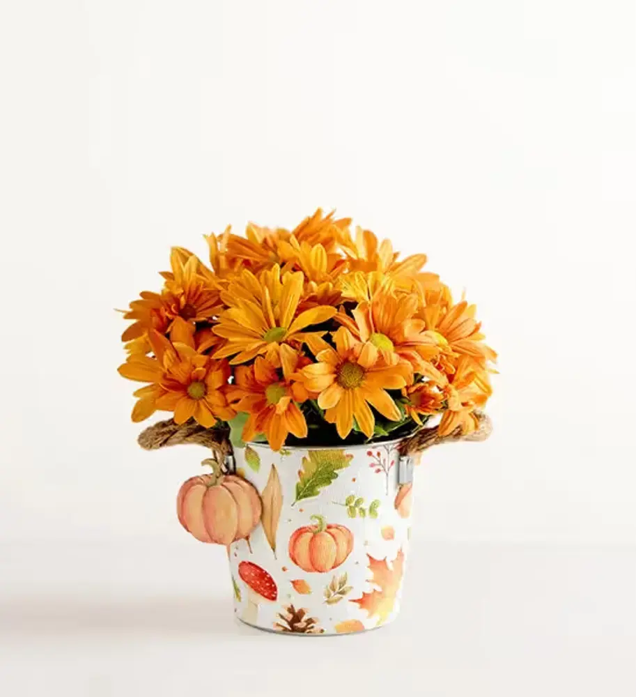 Pumpkin Mum in Metal Pail