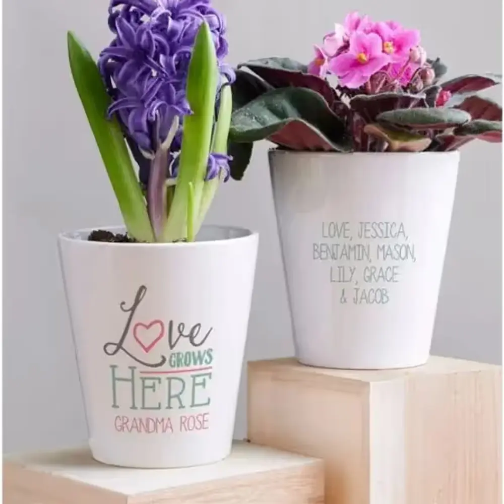 Personalized Love Grows Here Mini Pot