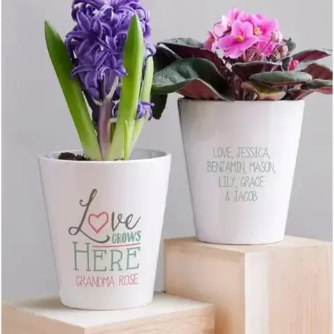 Personalized Love Grows Here Mini Pot