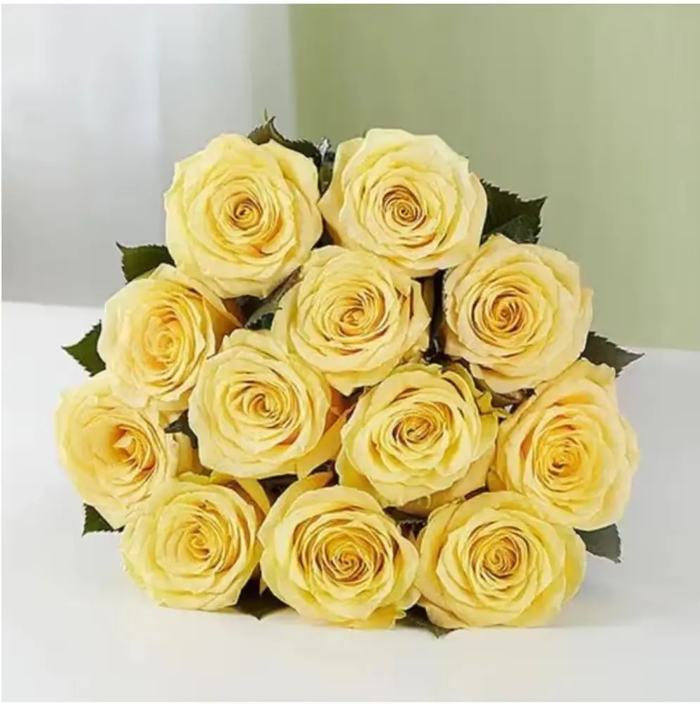 One Dozen Yellow Roses