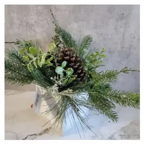 Pinecone Plant for Christmas