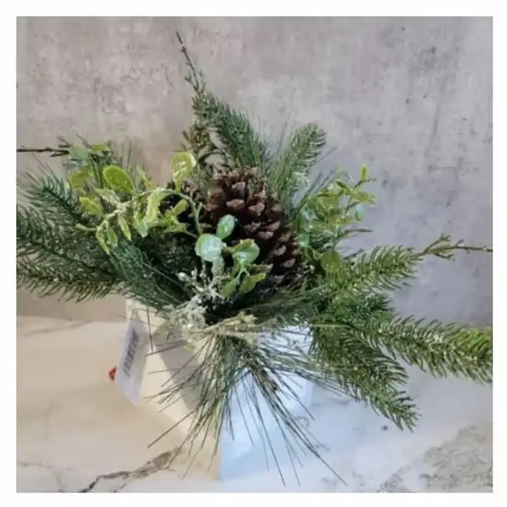 Pinecone Plant for Christmas