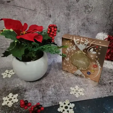 Lindor Truffles & Red Poinsettia