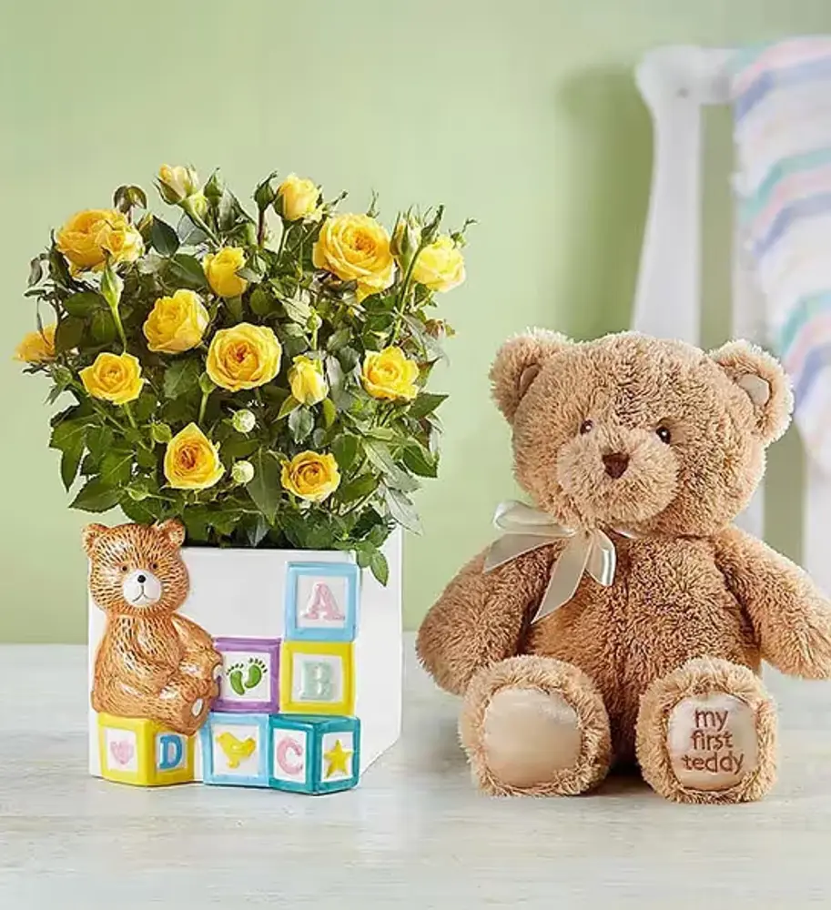 Yellow Rose Plant in Baby Blocks Planter