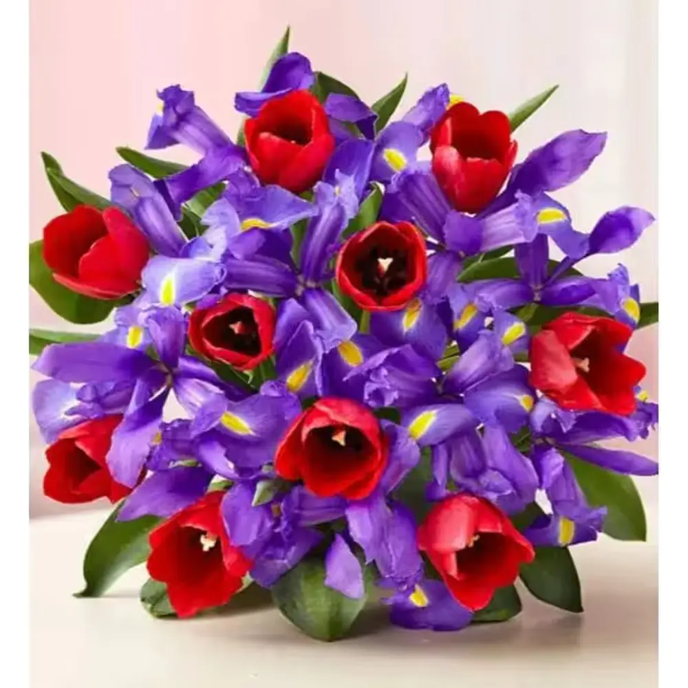 Red Tulips & Blue Iris Bouquet