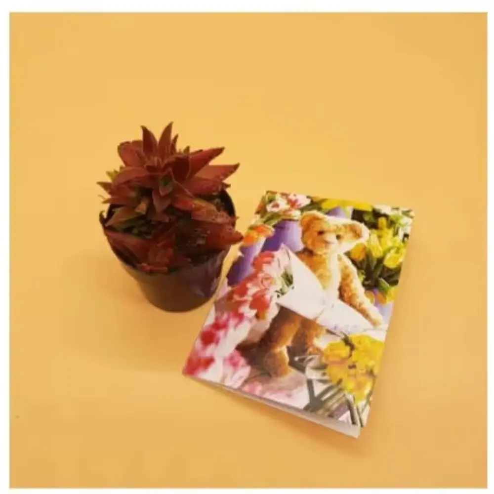 Mini Succulent with Greeting Card