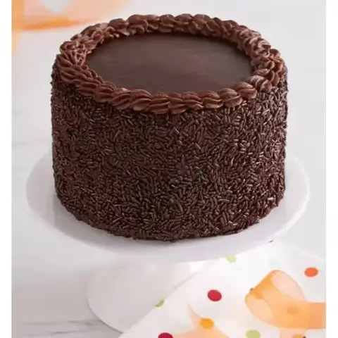 Chocolate Celebration Cake with Sprinkles
