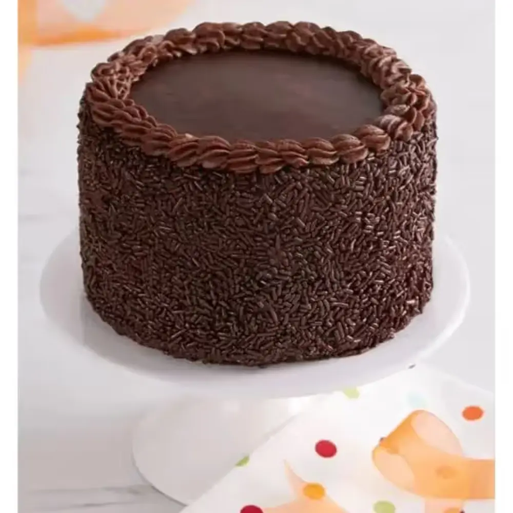Chocolate Celebration Cake with Sprinkles
