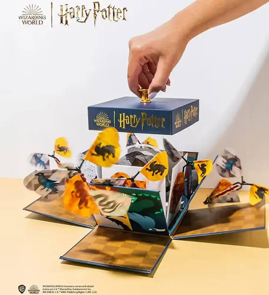 Harry Potter Hogwarts Explosion Box