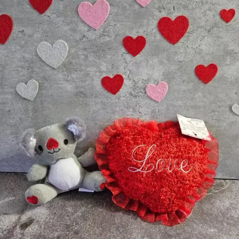 Teddy & Heart Pillow Set