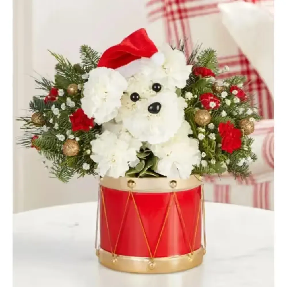 Santa Paws Flower Arrangement
