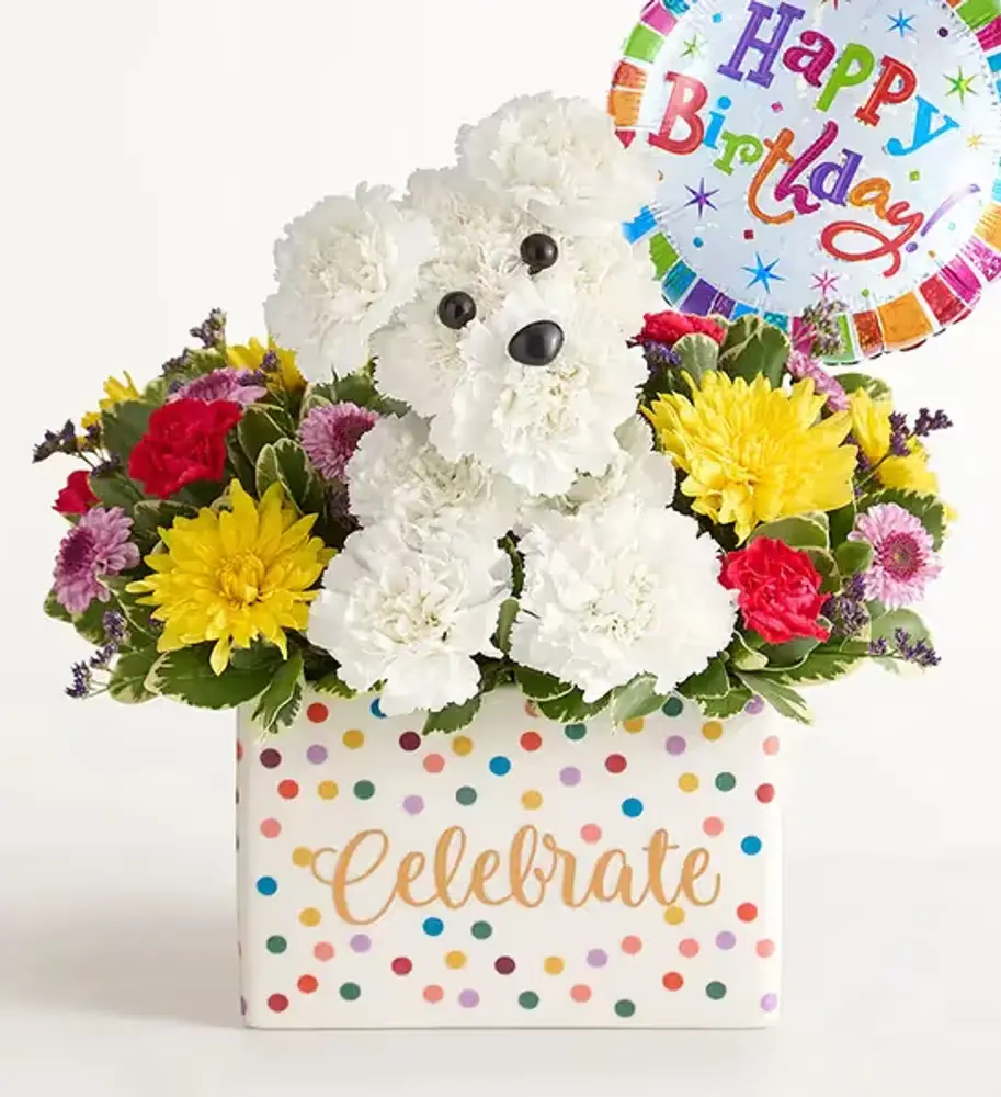 Party Pup Balloon Arrangement