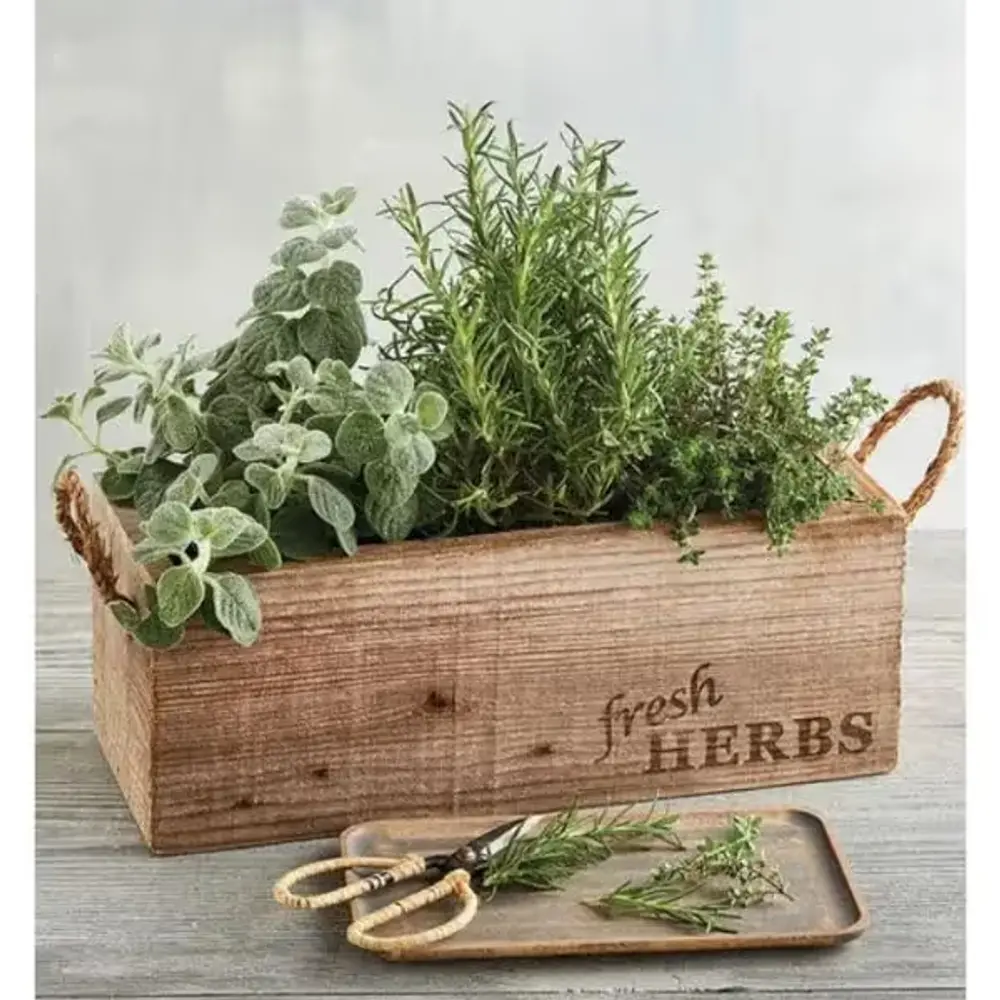 Rustic Herb Garden