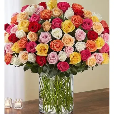 100 Long Stem Assorted Roses