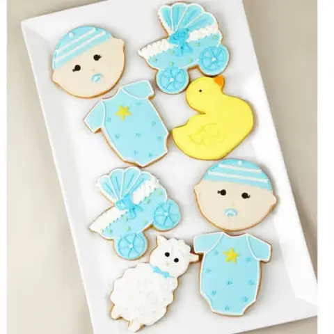 Welcome Baby Boy Iced Cookies