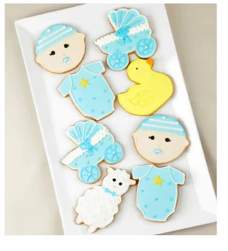 Welcome Baby Boy Iced Cookies