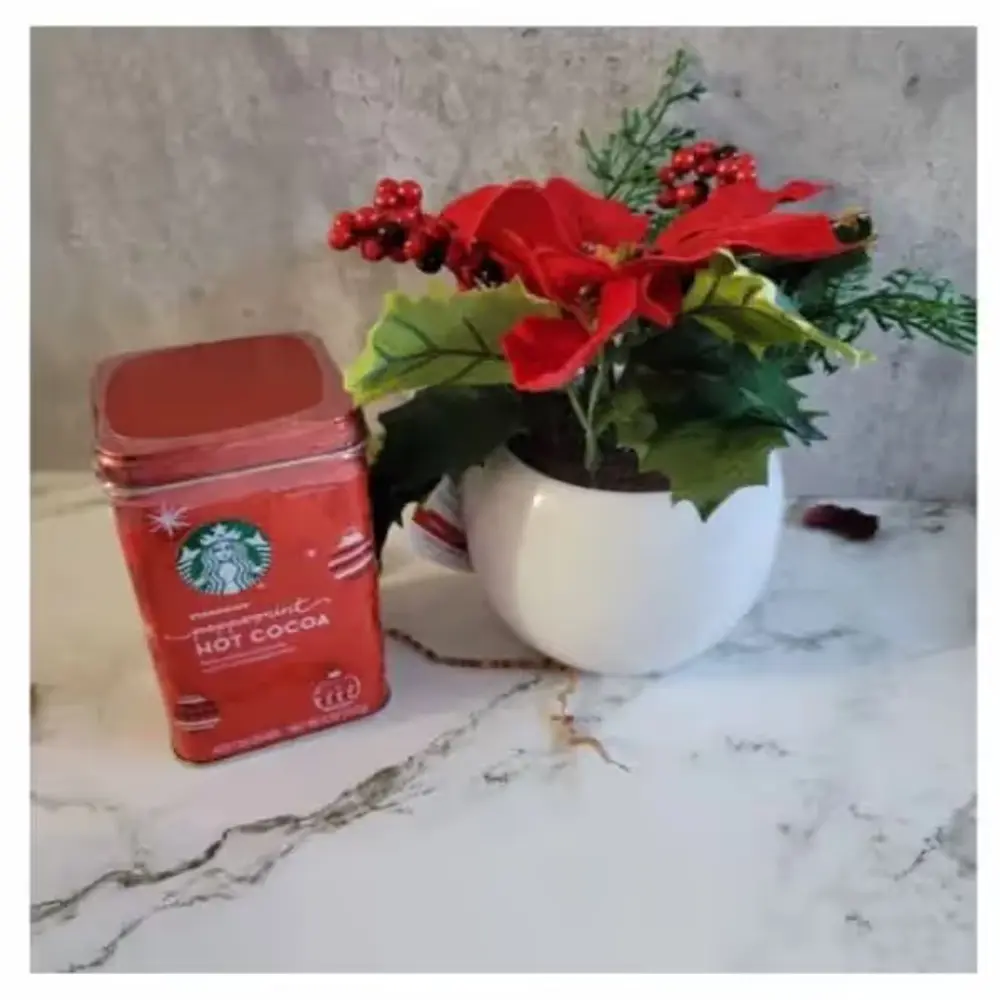 Poinsettia & Hot Cocoa Gift