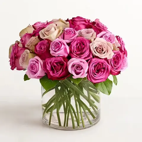 Lavender Roses in Glass Cylinder Vase