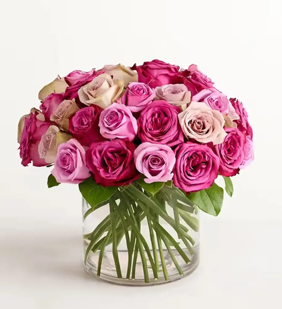 Lavender Roses in Glass Cylinder Vase