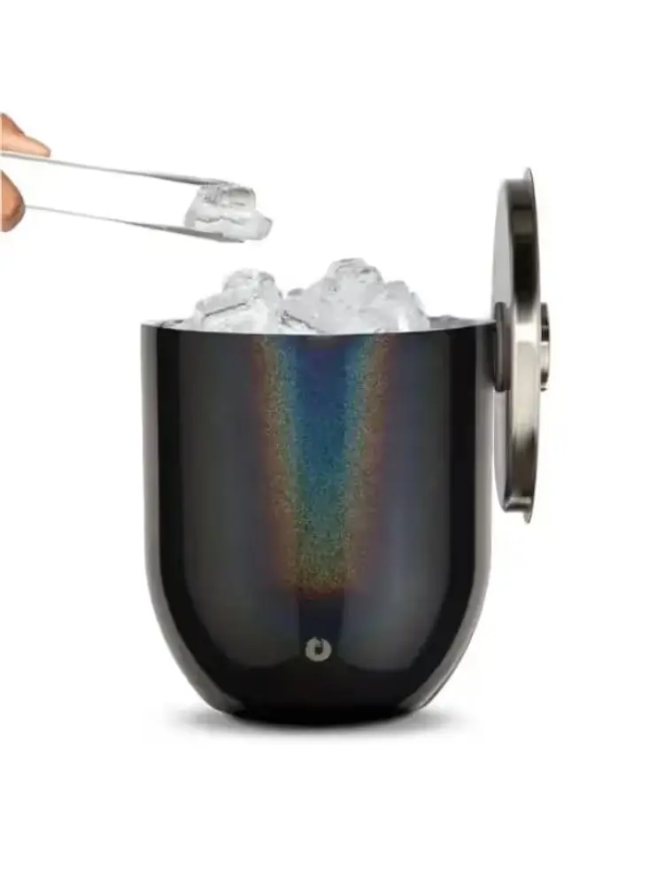Insulated Ice Bucket with Lid & Tongs