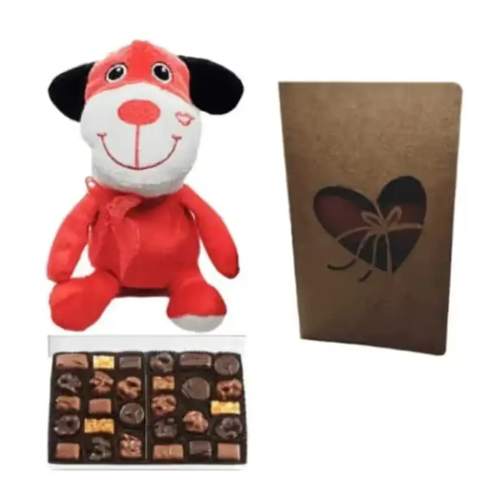 See's Truffles & Teddy