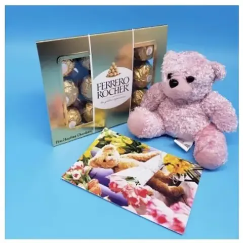 Soft Teddy & 12 Ferrero Rocher