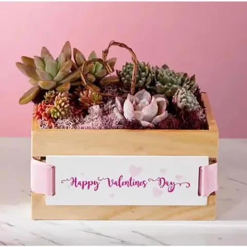 Happy Valentine's Day Succulent Crate