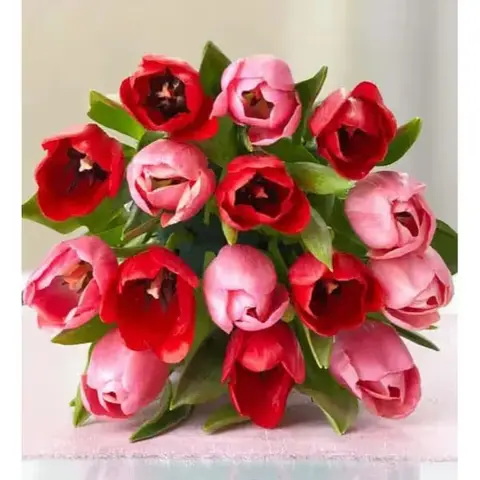 Sweetest Love Tulips with Chocolate