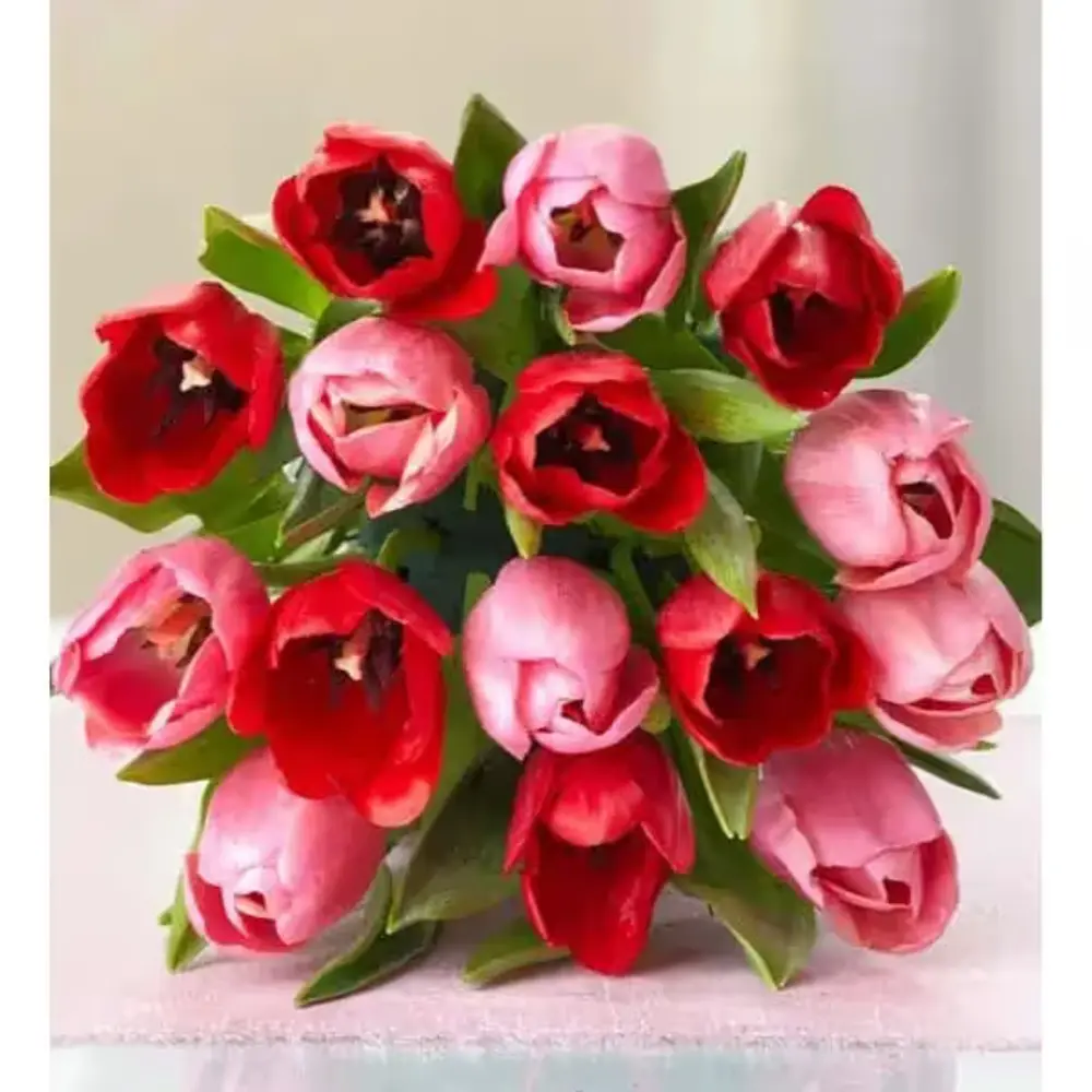Sweetest Love Tulips with Chocolate