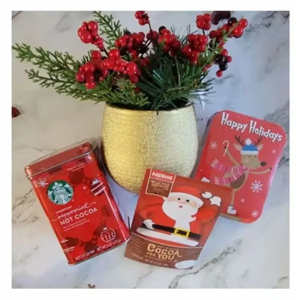 Christmas Pine Plant & Cocoa Treat