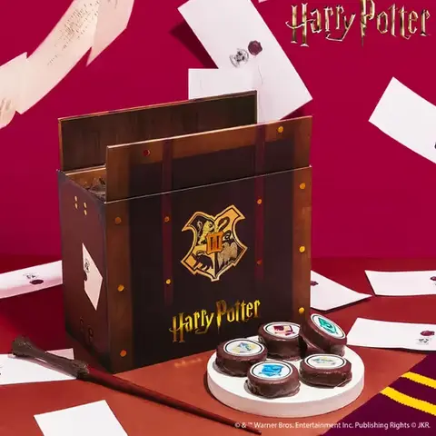 Harry Potter Hogwarts Letter Gift Box
