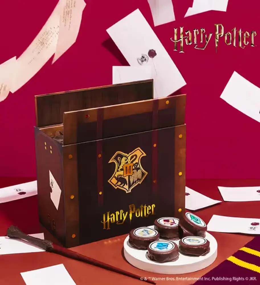Harry Potter Hogwarts Letter Gift Box