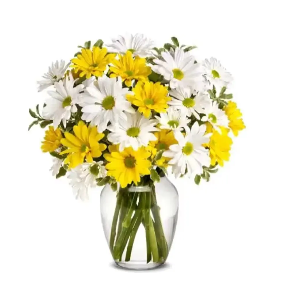 Upsy Daisy Bouquet