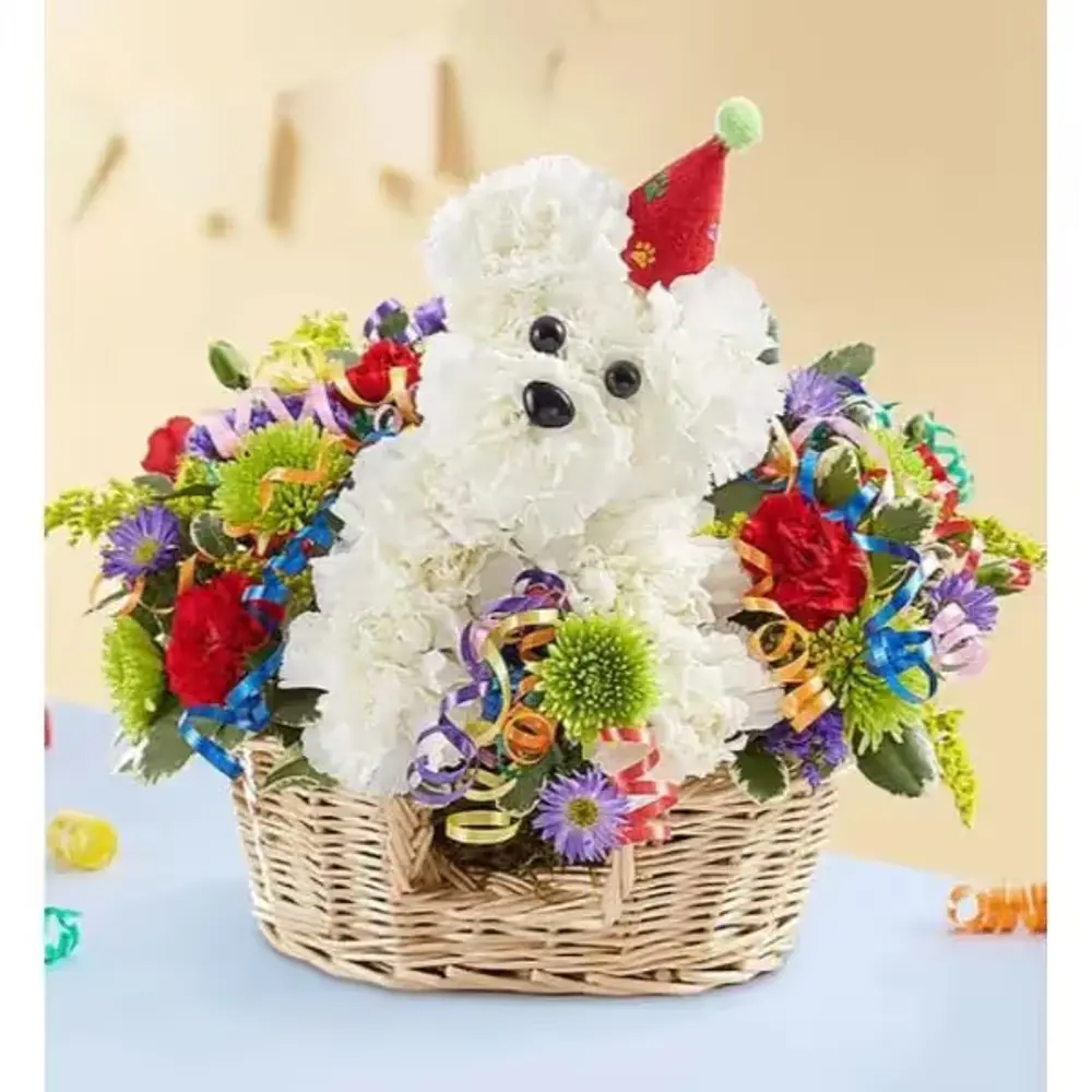 Birthday Party Dog Flower Arrangement